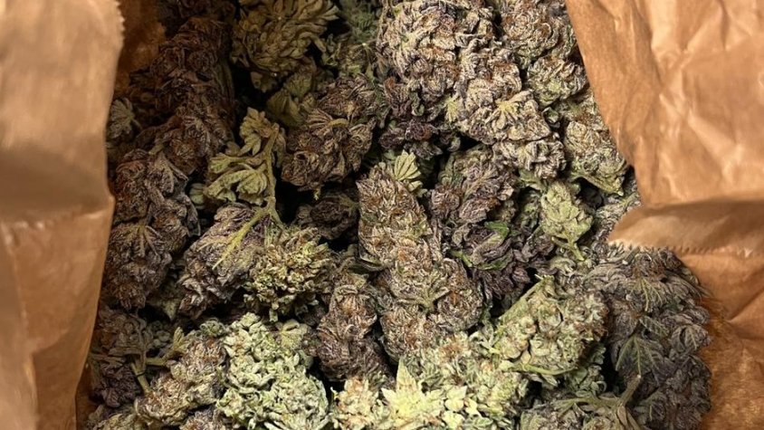 El contingut de la bossa interceptada