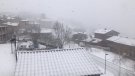 Comença a nevar de manera intensa al Ripollès
