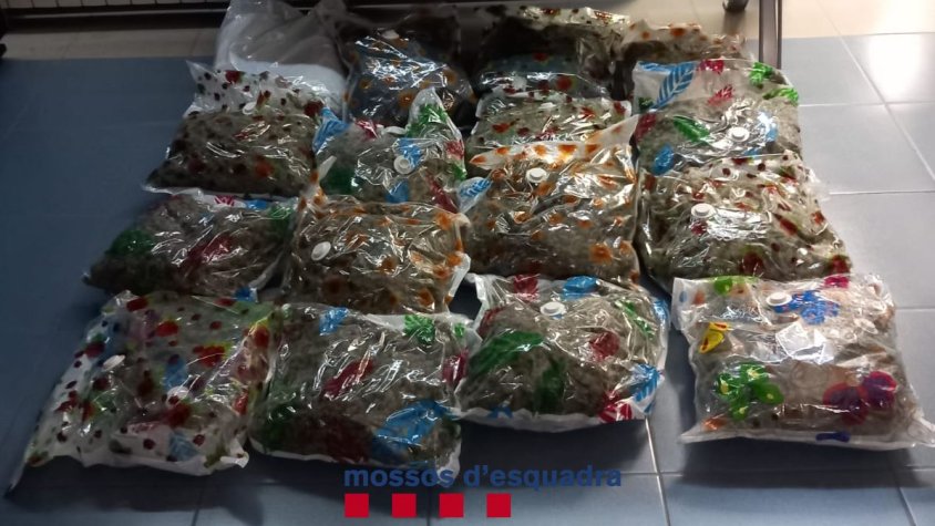 Detenen dos homes que transportaven 22 quilos de marihuana a Ribes de Freser