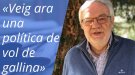 «Veig ara una política de vol de gallina»