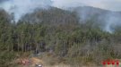 Incendi a la zona de Saltor, a Ripoll 