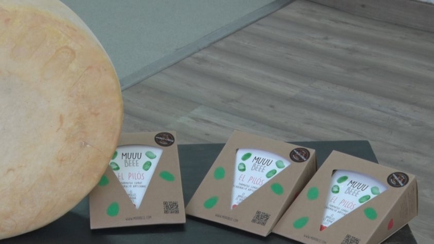 El formatge Pilós, premiat al Campionat Gourmet Quesos