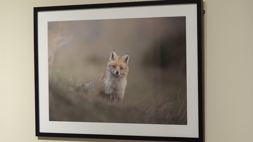 Exposició de fotografies a Cal Marquès, a Camprodon