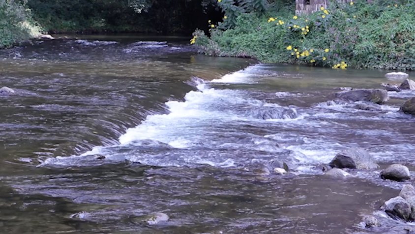Riu Ter al seu pas per Sant Joan de les Abadesses
