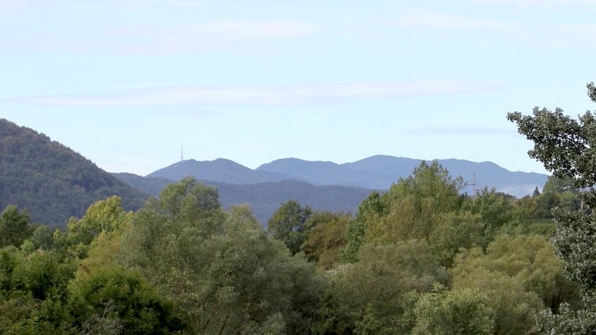 Sant Joan de les Abadesses farà franges de vegetacio per protegir el municipi contra els incendis