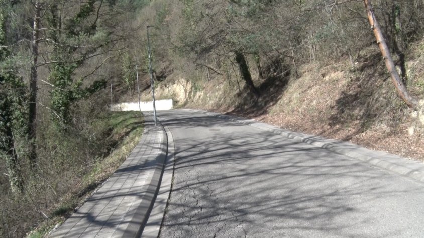 Bona part de l’extensió de Ripoll és massa boscosa que s’ha de controlar per evitar incendis