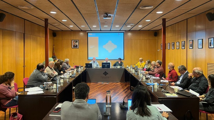 Sessió plenària del Consell d'Alcaldes i d'Alcaldesses