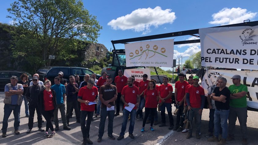 El moment de la lectura del manifest