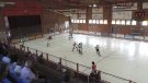 L'Hoquei Club Ripoll haurà de jugar contra vuit equips nous respecte la temporada passada 