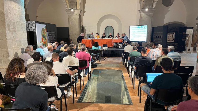 Una cinquantena d’empresaris de la fusta d’arreu de Catalunya van ser a Ripoll per la subhasta