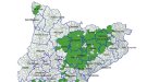 Deu municipis del Ripollès afectats per l’eruga del boix