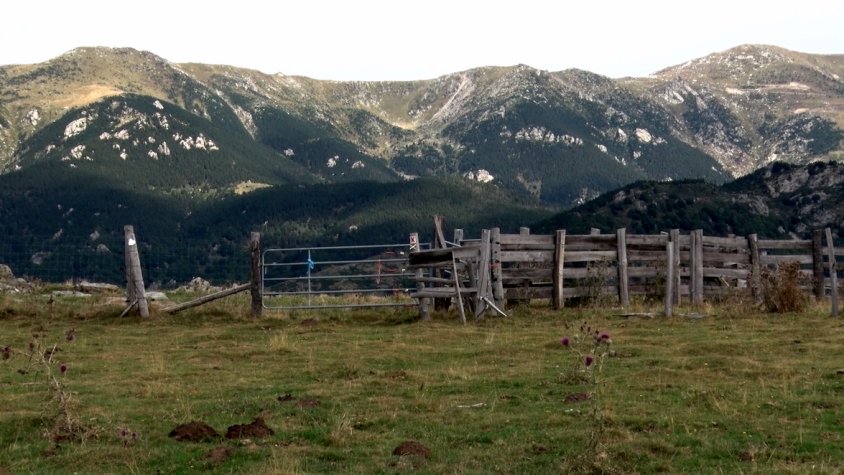 El Parc Natural de les Capçaleres del Ter i el Freser avalua els efectes del canvi climàtic