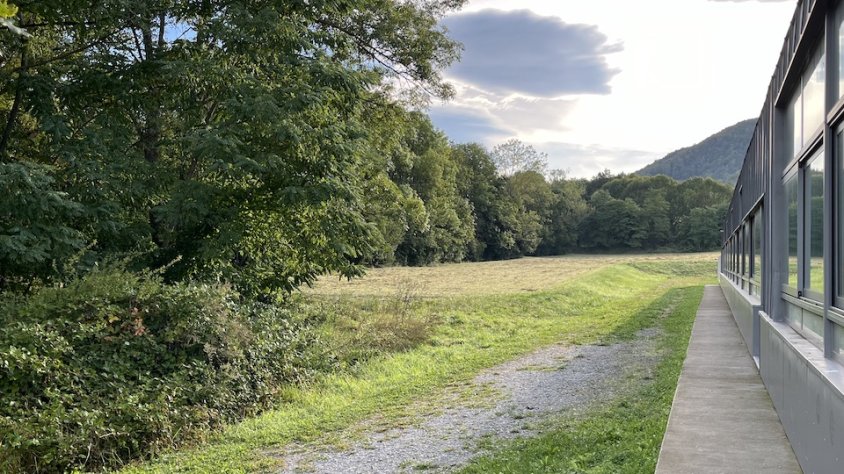 La zona on es volen ubicar les noves places d'aparcament