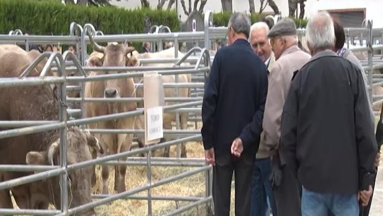 L'edició 2020 queda suspesa