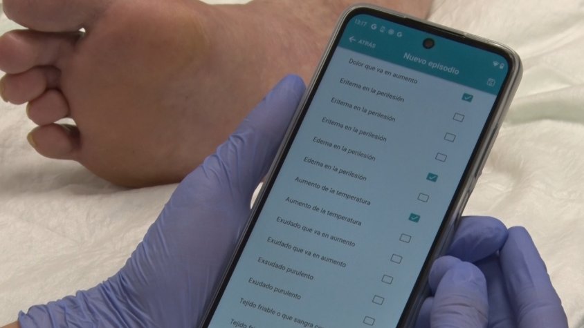 L'aplicació en funcionament