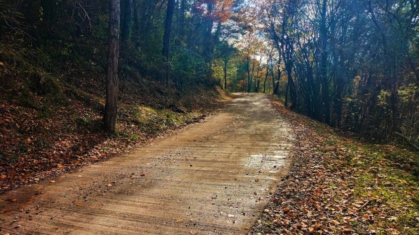 El camí de Sant Antoni de Ripoll ha estat una de les vies arranjades aquest any