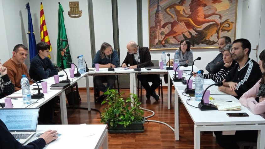 Imatges de la sessió plenària