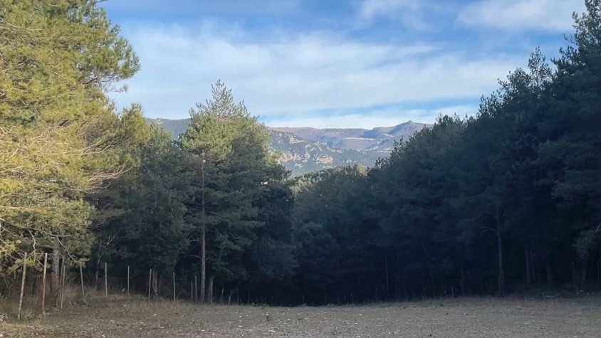 Els propietaris de l’Alta Garrotxa veuen amb bons ulls passar a ser Parc Natural