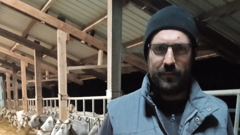 Guillem Pastoret després de donar de menjar a les seves vaques