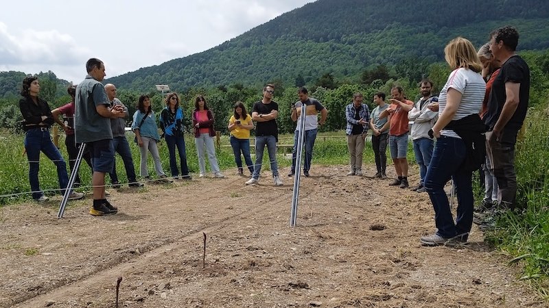 Els participants a la formació d'aquest dijous, a prop de la vinya plantada a Llanars