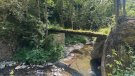 Objectiu: restaurar el Pont de Coma de Ribes de Freser