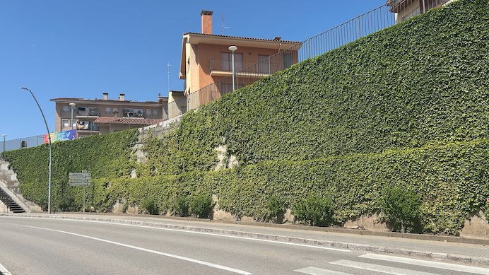 El mur ha suscitat controvèrsia entre oposició i govern