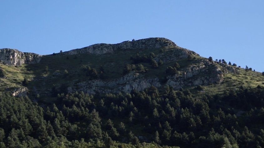 Informadors cada dia al bosc de Campelles i Montgrony per un bon comportament
