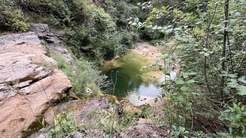 El Ripollès, en el camí indicat per reduir la massificació dels gorgs