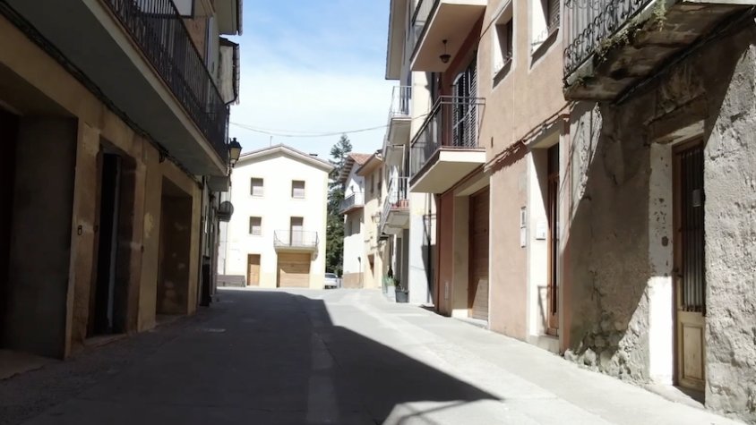 Sant Pau vol tenir el control sobre les colònies felines urbanes