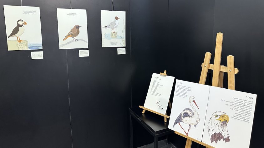 'A trenc d'ales', un viatge poètic pel món dels ocells 