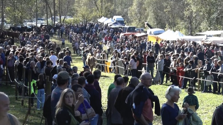 Se suspenen la Fira de Santa Teresa i la Tria de Mulats d'Espinavell