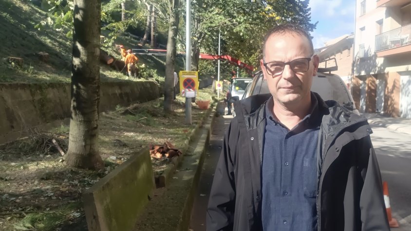 El PSC de Ripoll es queixa de la manca d'informació d'una tala d'arbres
