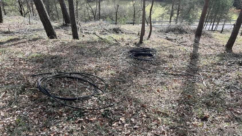 Alguns dels cables que embruten els boscos de Les Llosses