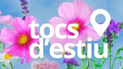 Els Tocs d'Estiu més enigmàtics a Ripoll