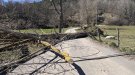 Diverses incidències a la comarca a causa de les ventades
