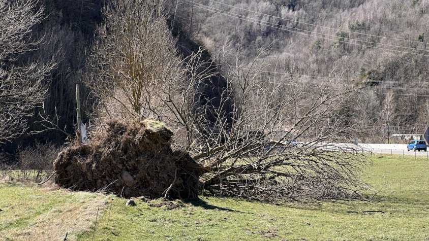 Nova alerta per ventades al Ripollès i cinc comarques més