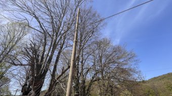 L'Ajuntament de Camprodon emprendrà accions legals contra Telefónica pels talls recurrents 