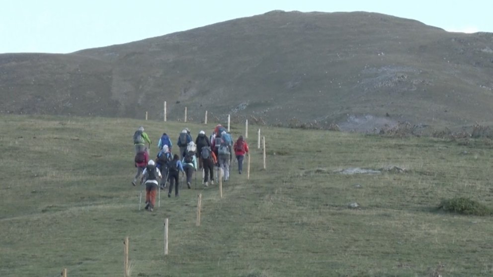 Els Agents Rurals comencen a sancionar pels gossos deslligats en espais protegits