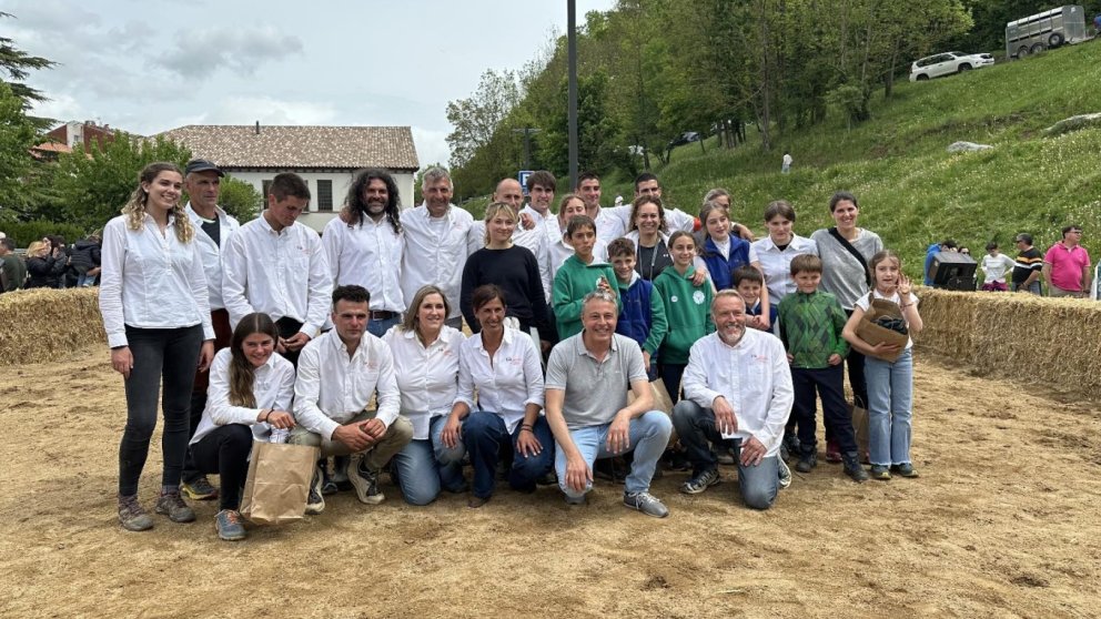 La Primera Fira del Cavall Pirinenc Català fa lluir Sant Joan de les Abadesses