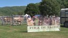 Llanars, passat i present a la Fira de Pagès