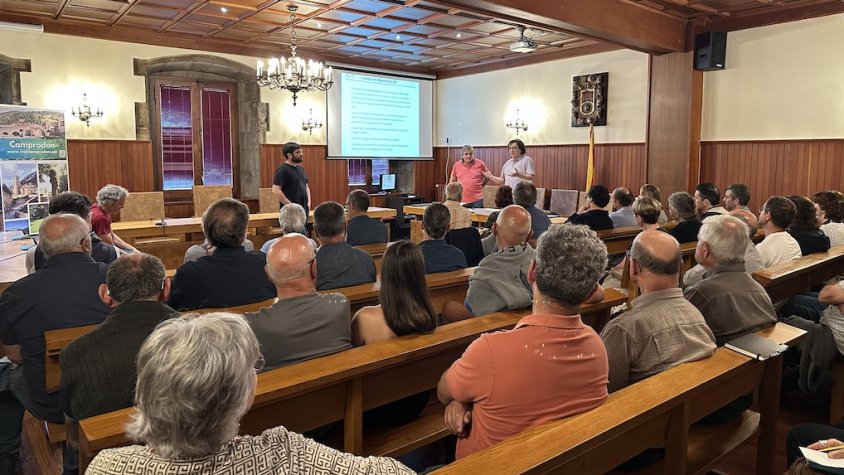 Camprodon i Sant pau impulsen un pla de gestió forestal 