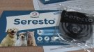 El factor clau per protegir els gossos de paràsits i malalties