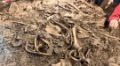 Troben restes d'una seixantena d'individus prehistòrics a la cova del Roc de les Orenetes de Queralbs