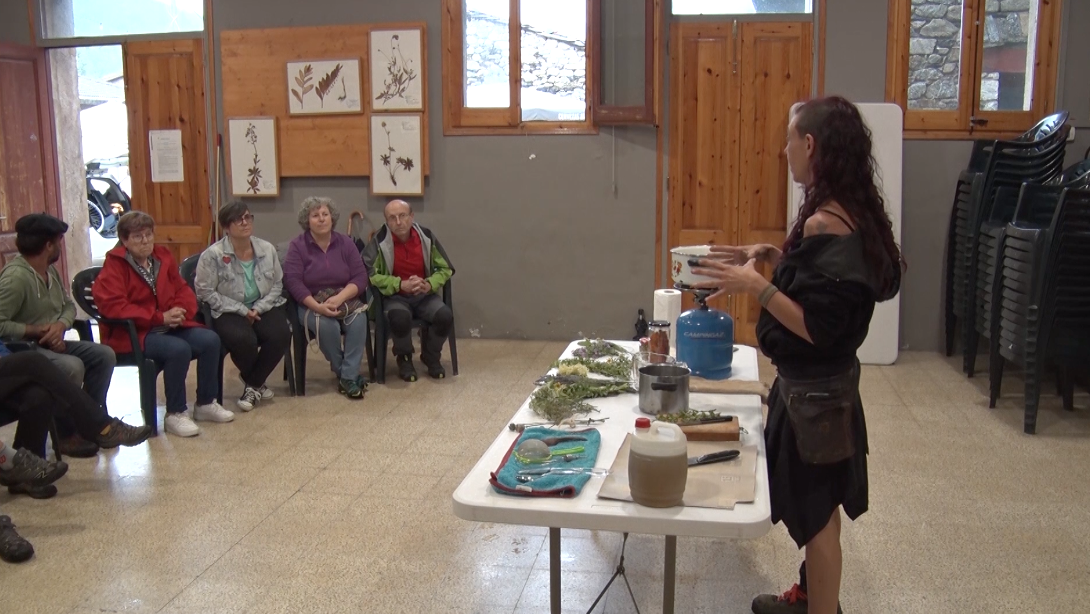 La Fira de les Herbes i les Flors de Muntanya de Setcases aplega desenes d'assistents Ripollès